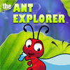 The Ant Explorer